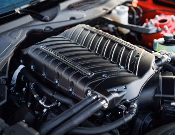 Sous la capuche 2026 Shelby Super Snake-R '2025–pr.