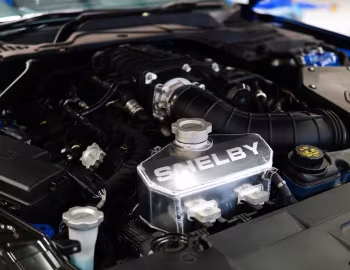 Sous la capuche Shelby Super Snake [Australia] (20SSX6710) '2020