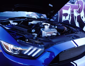 Sous la capuche Shelby Super Snake [Australia] (16SS0712) '2016