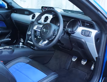 Panel frontal Shelby Super Snake [Australia] (17SS0718) '2017