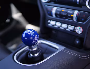 Intérieur Shelby Super Snake [Australia] (20SSX6710) '2020