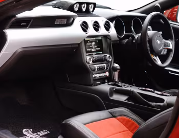 Panel frontal Shelby Super Snake [Australia] (16SS0715) '2016