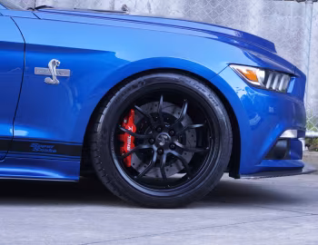 Shelby Super Snake [Australia] (17SS0718) '2017