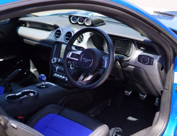 Panel frontal Shelby Super Snake [Australia] (20SSX6710) '2020