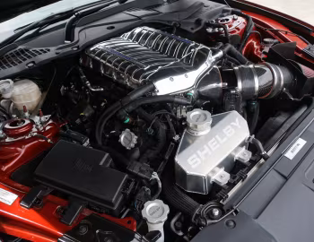 Sous la capuche Shelby Super Snake [Australia] (18SSX6703) '2018