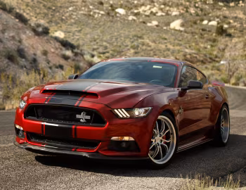 2015–16 Shelby Super Snake [North America] '2015–16