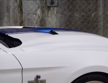 Shelby Super Snake [Australia] (18SSX6702) '2018
