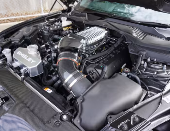 Sous la capuche Shelby Super Snake [Australia] (17SS0715) '2017