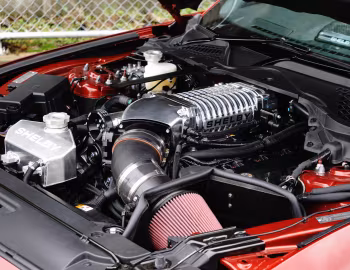 Sous la capuche Shelby Super Snake [Australia] (16SS0715) '2016