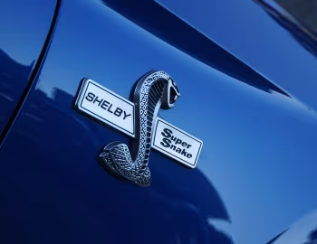 Logo Shelby Super Snake [Australia] (17SS0718) '2017