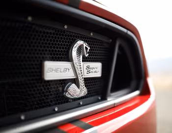 2015–16 Shelby Super Snake [North America] '2015–16