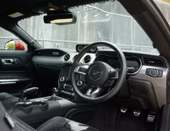 Panel frontal Shelby Super Snake [Australia] (18SSX6703) '2018
