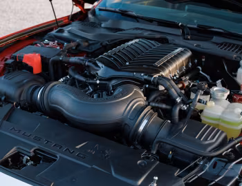 Under The Hood 2024 Shelby Super Snake (24SS002P) '2024