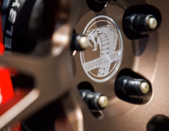 2024 Shelby Super Snake (24SS002P) '2024