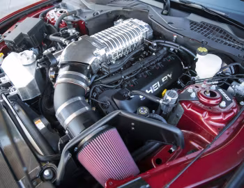 Sous la capuche 2015–16 Shelby Super Snake [North America] '2015–16