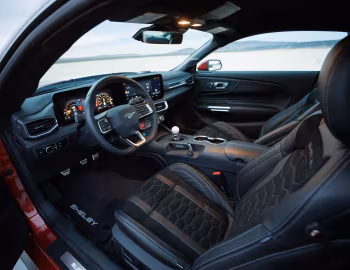 Panel frontal 2024 Shelby Super Snake (24SS002P) '2024