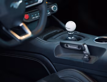 Interior 2024 Shelby Super Snake (24SS002P) '2024