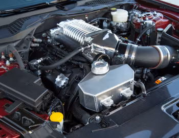 Sous la capuche 2015–16 Shelby Super Snake [North America] '2015–16