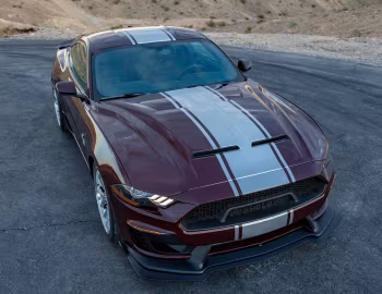 2018–23 Shelby Super Snake [North America] '2018–23