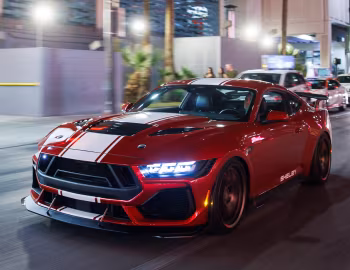2024 Shelby Super Snake (24SS002P) '2024