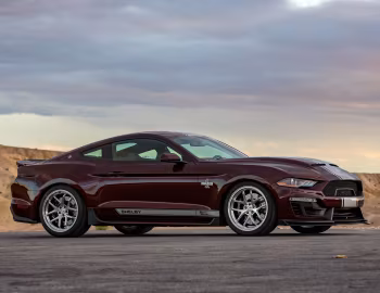 2018–23 Shelby Super Snake [North America] '2018–23