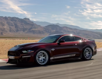 2018–23 Shelby Super Snake [North America] '2018–23