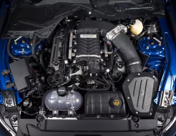 Bajo el capó 2017 Shelby Super Snake "50th Anniversary" [North America] '2017