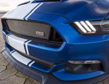2017 Shelby Super Snake "50th Anniversary" [North America] '2017
