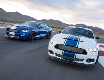 2017 Shelby Super Snake "50th Anniversary" [North America] '2017