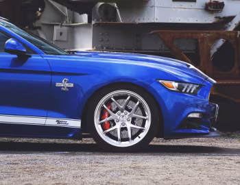Shelby Super Snake "50th Anniversary" [Australia] (17SSX6750) '2017