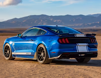 2017 Shelby Super Snake "50th Anniversary" [North America] '2017