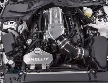 Sous la capuche 2017 Shelby Super Snake "50th Anniversary" [North America] '2017