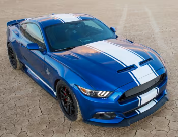 2017 Shelby Super Snake "50th Anniversary" [North America] '2017