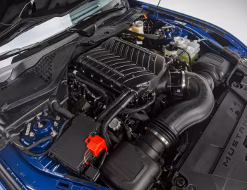 Sous la capuche Shelby Super Snake Convertible '2024–pr.