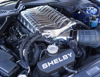 Sous la capuche Shelby Super Snake Speedster Edition [Australia] (23SSX6735) '2023
