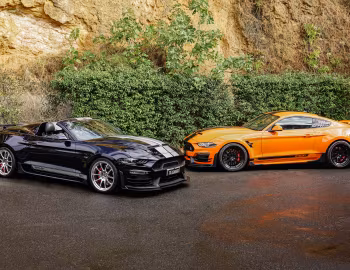 Shelby Super Snake Widebody, Shelby Super Snake Speedster Edition