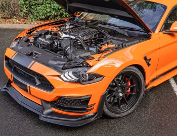 Sous la capuche Shelby Super Snake Widebody [Australia] (21SSX6729) '2021