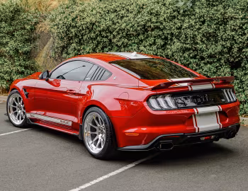 Shelby Super Snake Widebody [Australia] (22SSX6731) '2022