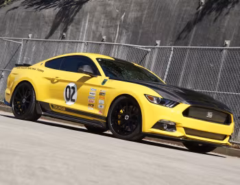 Shelby Terlingua [Australia] (17TRTX6702) '2017
