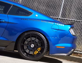 Shelby Terlingua [Australia] (17TRTX6701) '2017