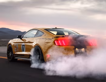 2016 Shelby Terlingua (16TRT0001) '2016