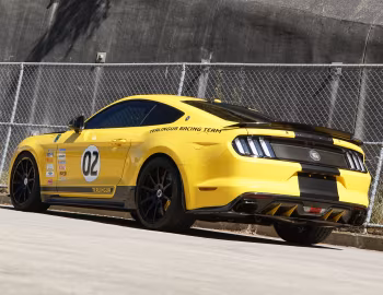 Shelby Terlingua [Australia] (17TRTX6702) '2017