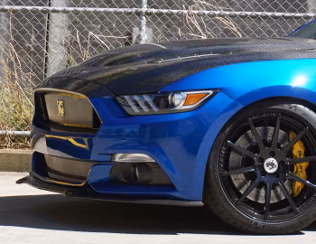 Shelby Terlingua [Australia] (17TRTX6701) '2017