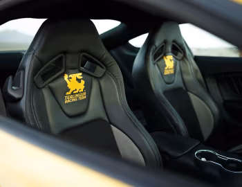 Interior 2016 Shelby Terlingua (16TRT0001) '2016