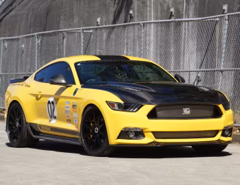 Shelby Terlingua [Australia] (17TRTX6702) '2017