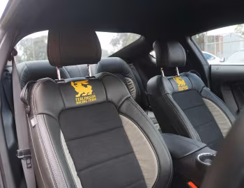 Interior Shelby Terlingua [Australia] (17TRTX6701) '2017