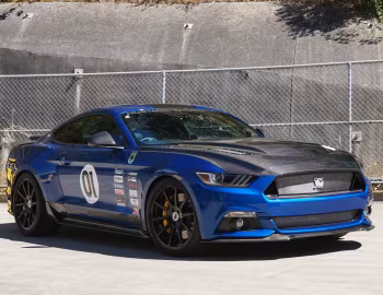 Shelby Terlingua [Australia] (17TRTX6701) '2017