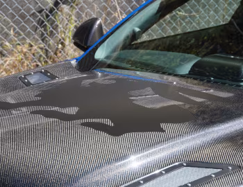 Shelby Terlingua [Australia] (17TRTX6701) '2017