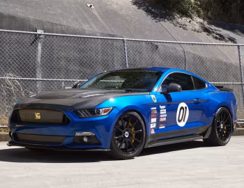 Shelby Terlingua [Australia] (17TRTX6701) '2017
