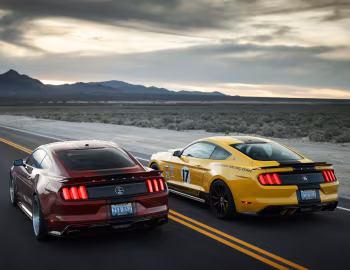 Shelby Super Snake, Shelby Terlingua
